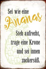 Holzschild 18x12 sei Ananas