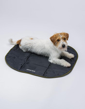 Lazy Dog Mat - Cuccia