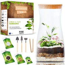 Terrarium Kit DIY per un