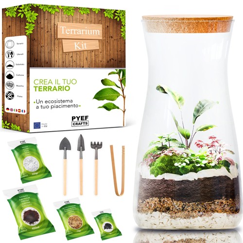 Terrarium kit diy per - diy,