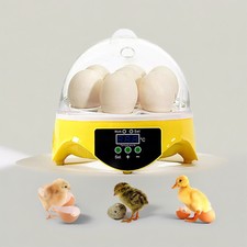 Incubatrice per pollame uova - pollame, 7