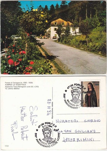 Foresta campigna forli - foresta,