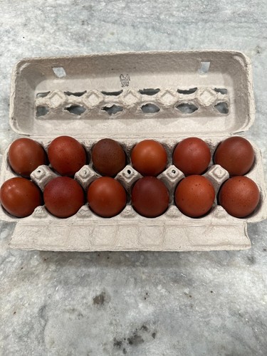French black copper maran - ☆french,