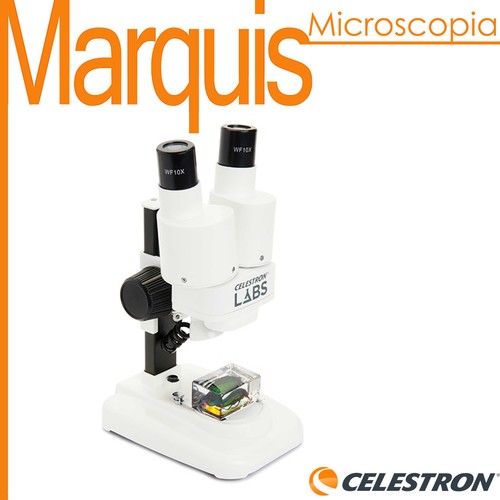 Microscopio stereoscopico - microscopio,
