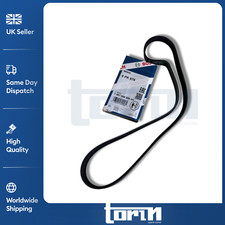 Cinghia trasmissione 6 costole