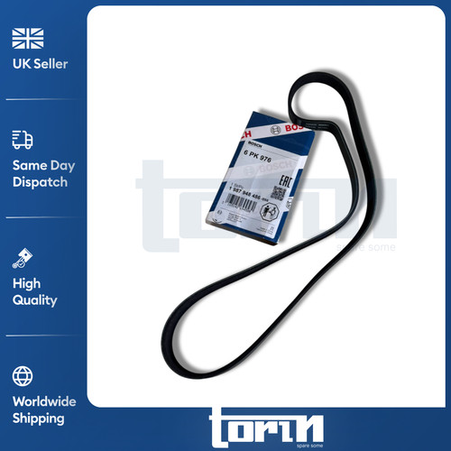 Cinghia trasmissione costole - trasmissione,