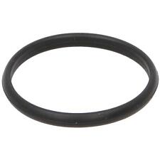 Scarico Collettore per Suzuki