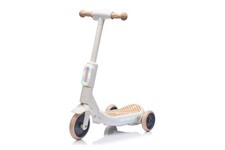 Monopattino Elettrico Deluxe a