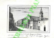 Bologna - Stampe - Corty - S