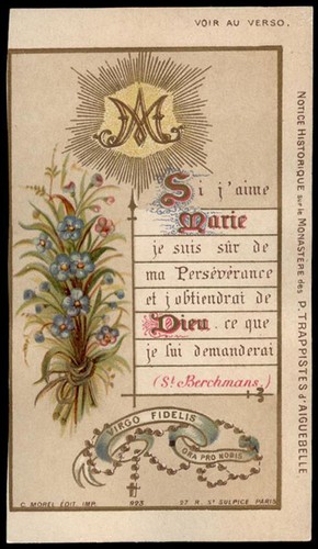 Santino holy card - santino-holy,