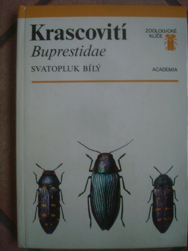 Entomologia buprestidae - entomologia,