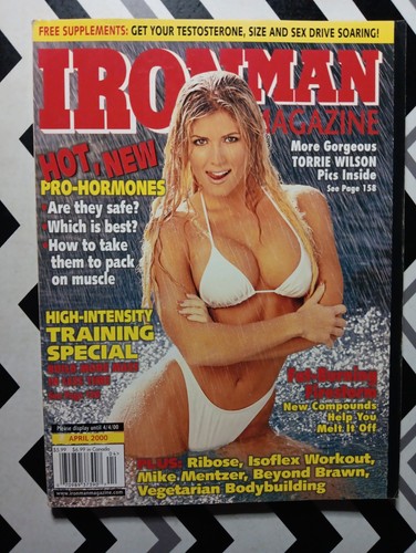 Torrie wilson iron man - wilson,