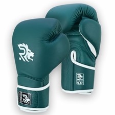 Guanti da boxe Ring Pro 16 oz