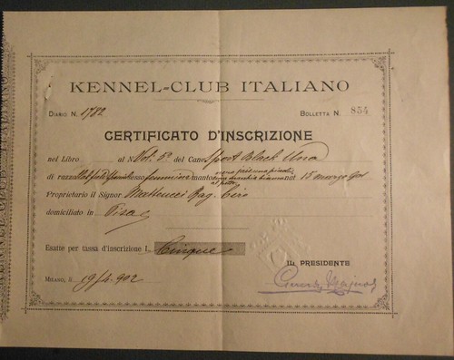 Cani kennel club - kennel-club, italiano