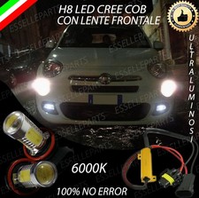 COPPIA LAMPADE FENDINEBBIA H8
