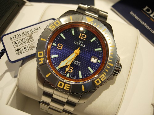 Delma blue shark - shark, i