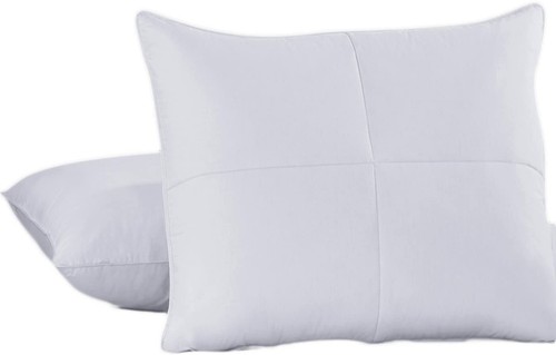White goose down and feather - goose,