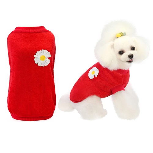 Cane maglione - maglione,