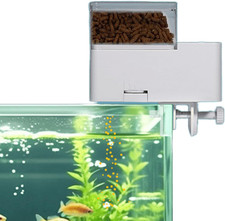 Mangiatoia Automatica per