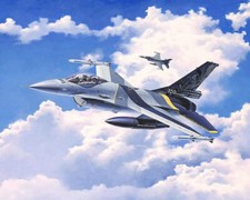 General Dynamics F-16 Mlu