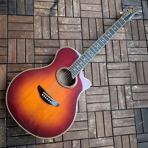 Chitarra elettrica acustica