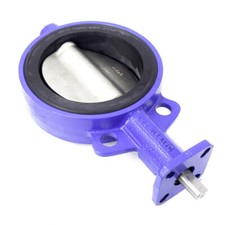 DelVal 50060241B1B0 Valvola a