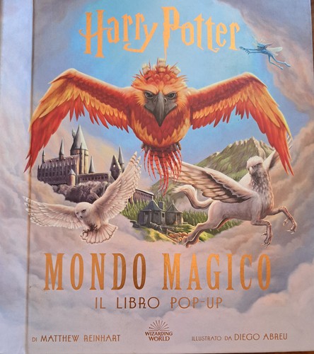 Harry potter mondo magico - mondo, il