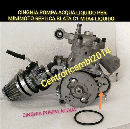 Cinghia pompa acqua motore - cinghia,