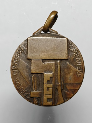 Medaglia sportiva nuoto fgc - medaglia,