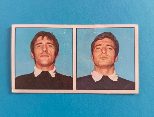 Figurina calciatori panini - figurina,