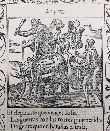 éléphant 1549 cupidon los - cupidon,