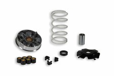 VARIATORE MULTIVAR PER SCOOTER