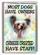 Chinese Crested Dog Fridge