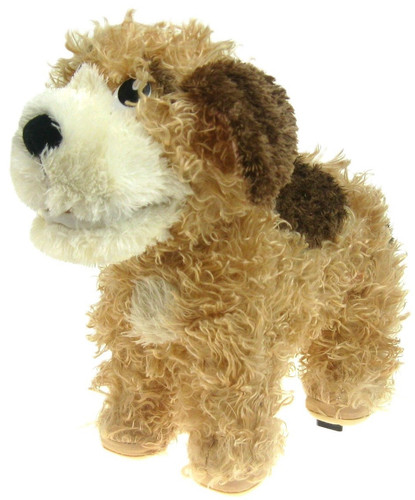 Zizzle 2006 lucky - zizzle,