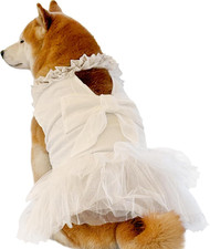 Abiti per Cani per Cani Di Taglia Grande Ragazza Abito Da Sposa per Cani Di Luss