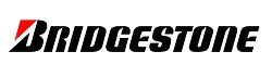 Coppia gomme bridgestone - coppia,