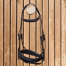 Cavallo Trense Copenhagen