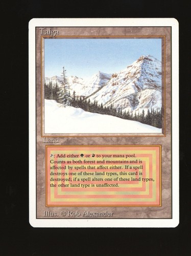 Magic mtg edizione taiga - mtg,