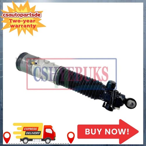 1xpuntone ammortizzatore - 1xpuntone,
