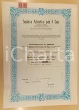 1972 ADRIA (RO) Società