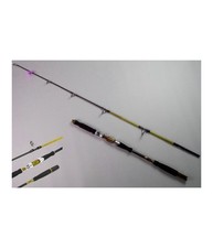 Canna Da Pesca Mare Barca Lunghezza 2.4 Mt 10/30g Telescopica Portatile Leggera