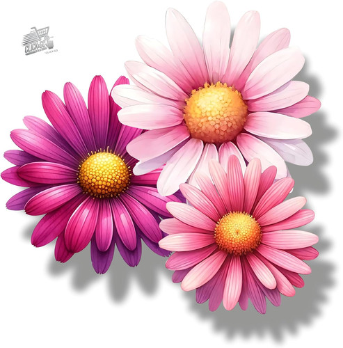 Adesivi fiori margherita - adesivi,