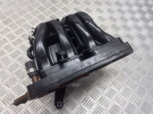 Lancia musa 2008 - musa,