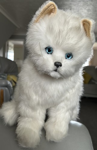 Gatto persiano bianco watford - bianco,