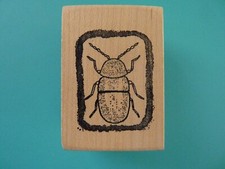 Egyptian sacred scarab beetle - egyptian,