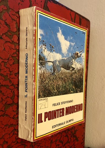 Pointer moderno feilce - pointer,
