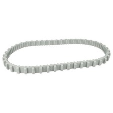 Cinghia dentata per Dolphin