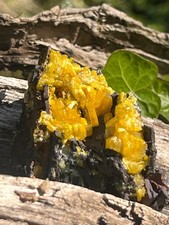 Lagrandite Miniera Di Ojuela