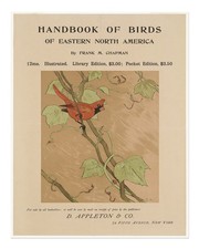 Illustrazione uccellino