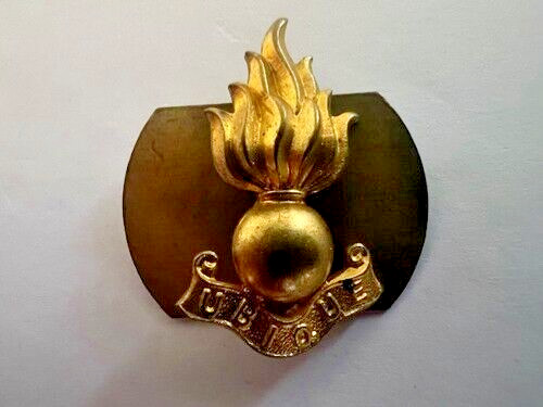 Collar dog insignia with - dog,